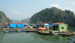 Halong bay fishing village
